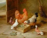 unknow artist Cocks 107 oil painting picture wholesale